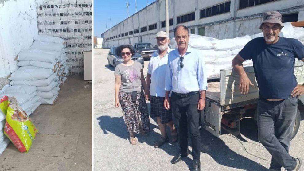 Στήριξη-στους-φιλόζωους-με-7-τόνους-τροφών-για-αδέσποτα-από-τον-Δήμο-Μαρωνείας-Σαπών