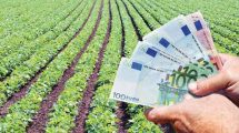 Ποιοι-αγρότες-δικαιούνται-την-αναδιανεμητική-ενίσχυση-–-Τα-ποσά-ανά-στρέμμα-και-καλλιέργεια