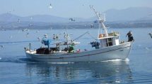 Υπουργείο-Αγροτικής-Ανάπτυξης:-mέχρι-15-Σεπτεμβρίου-οι-αιτήσεις-για-το-πρόγραμμα-των-16-εκατ.-ευρώ-για-επενδύσεις-στα-αλιευτικά-σκάφη