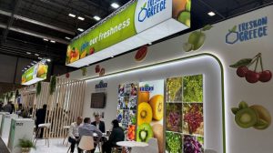Με-53-συμμετοχές-η-freskon-greece-στη-fruit-attraction-2026-στη-Μαδρίτη