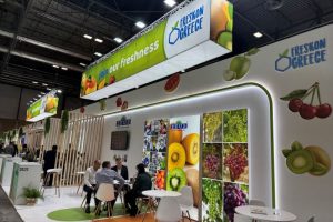 Με-53-συμμετοχές-η-freskon-greece-στη-fruit-attraction-2026-στη-Μαδρίτη