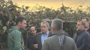 Ο-Ευριπίδης-Στυλιανίδης-(επιτόπου)-διαπίστωσε-μαζί-με-τους-αγρότες-Ιάσμου-την-ολική-καταστροφή-της-καλλιέργειας-Ακτινιδίου-(φώτος)